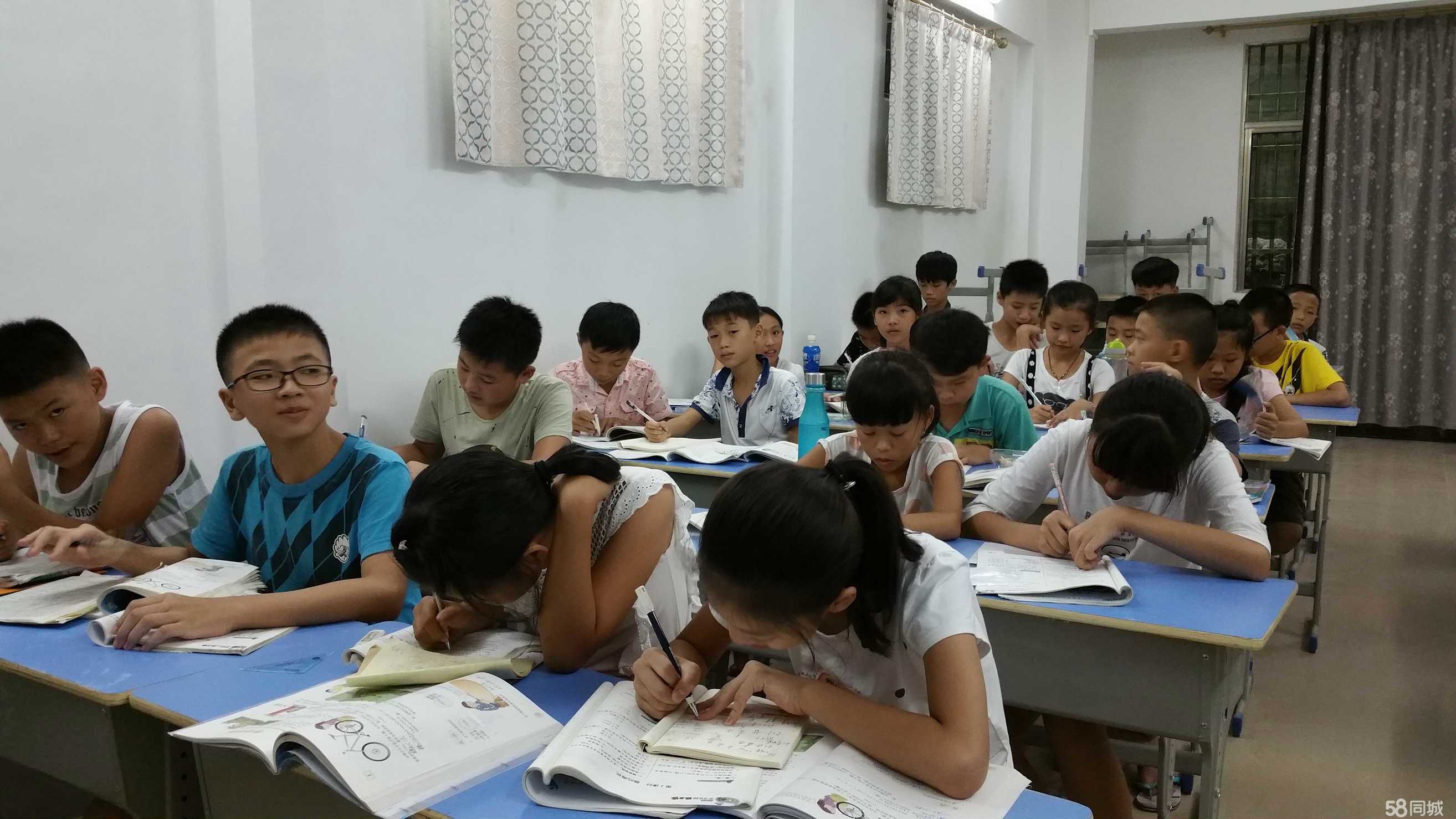 海南启扬教育咨询 专业导航，助力成长之路